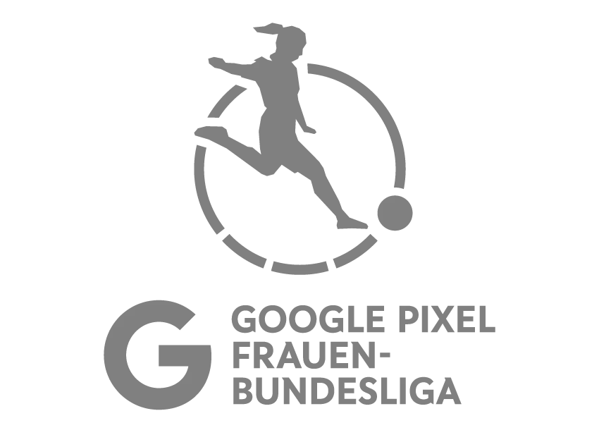 Google Pixel farbig/grau