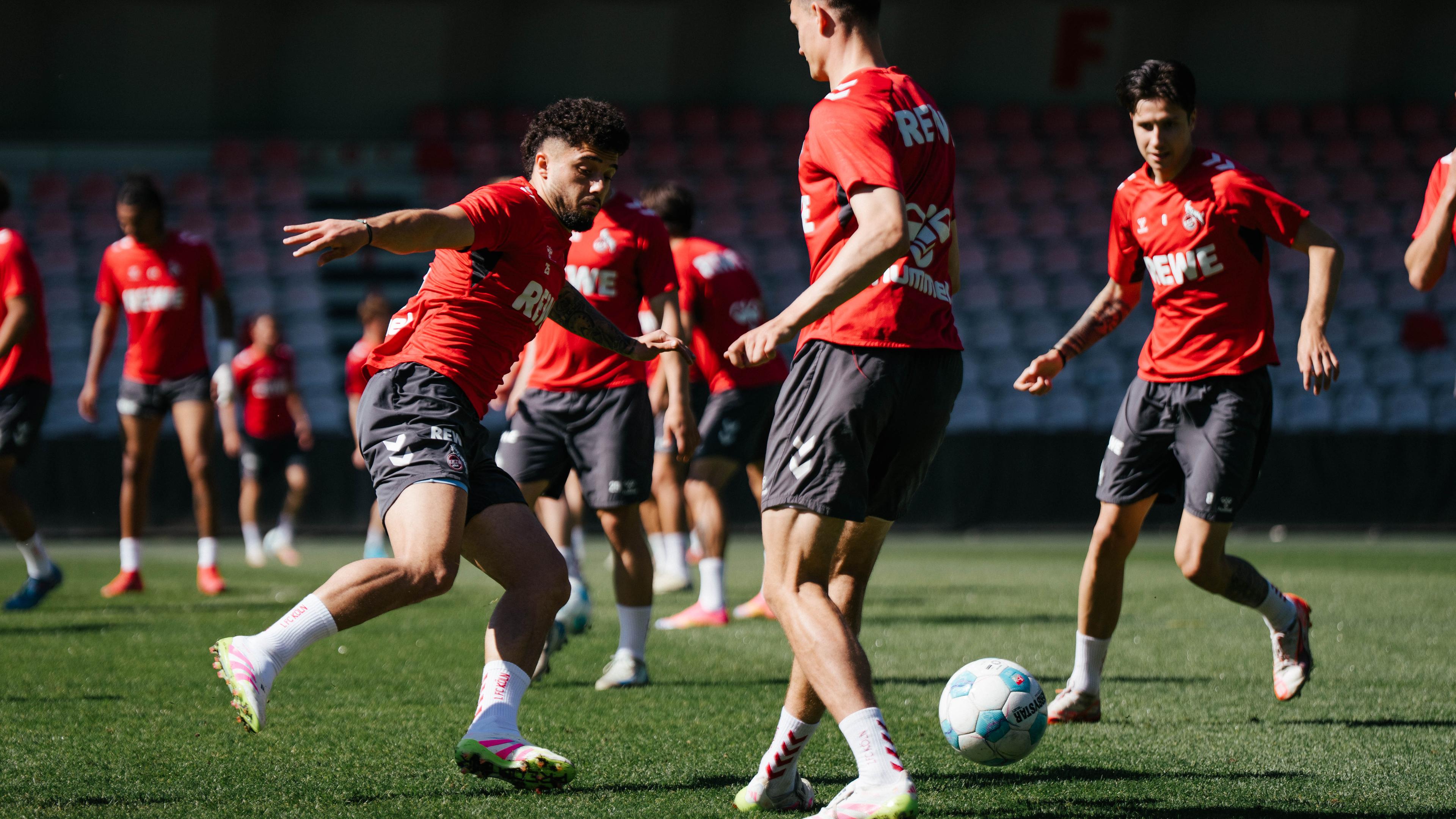 20250501 Gazibegovic_Aufmacher.jpg