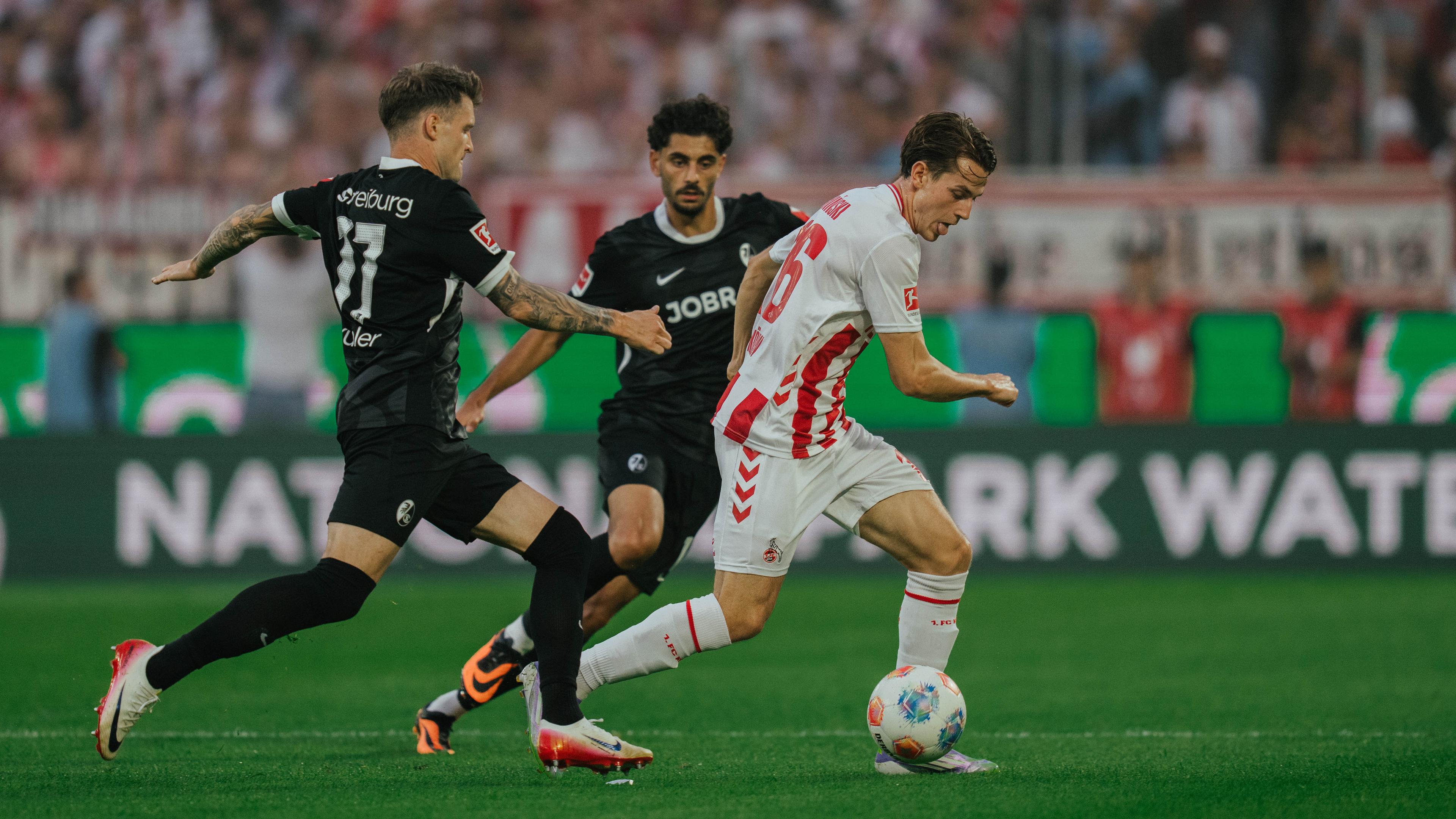 20260123 Vorschau_SCF.jpg