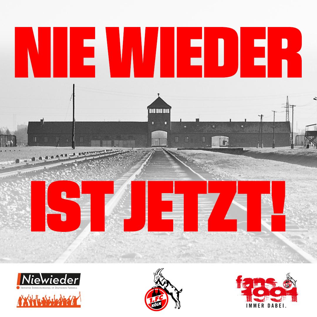 NieWieder_Onlinegrafiken_1080x1080px.jpg