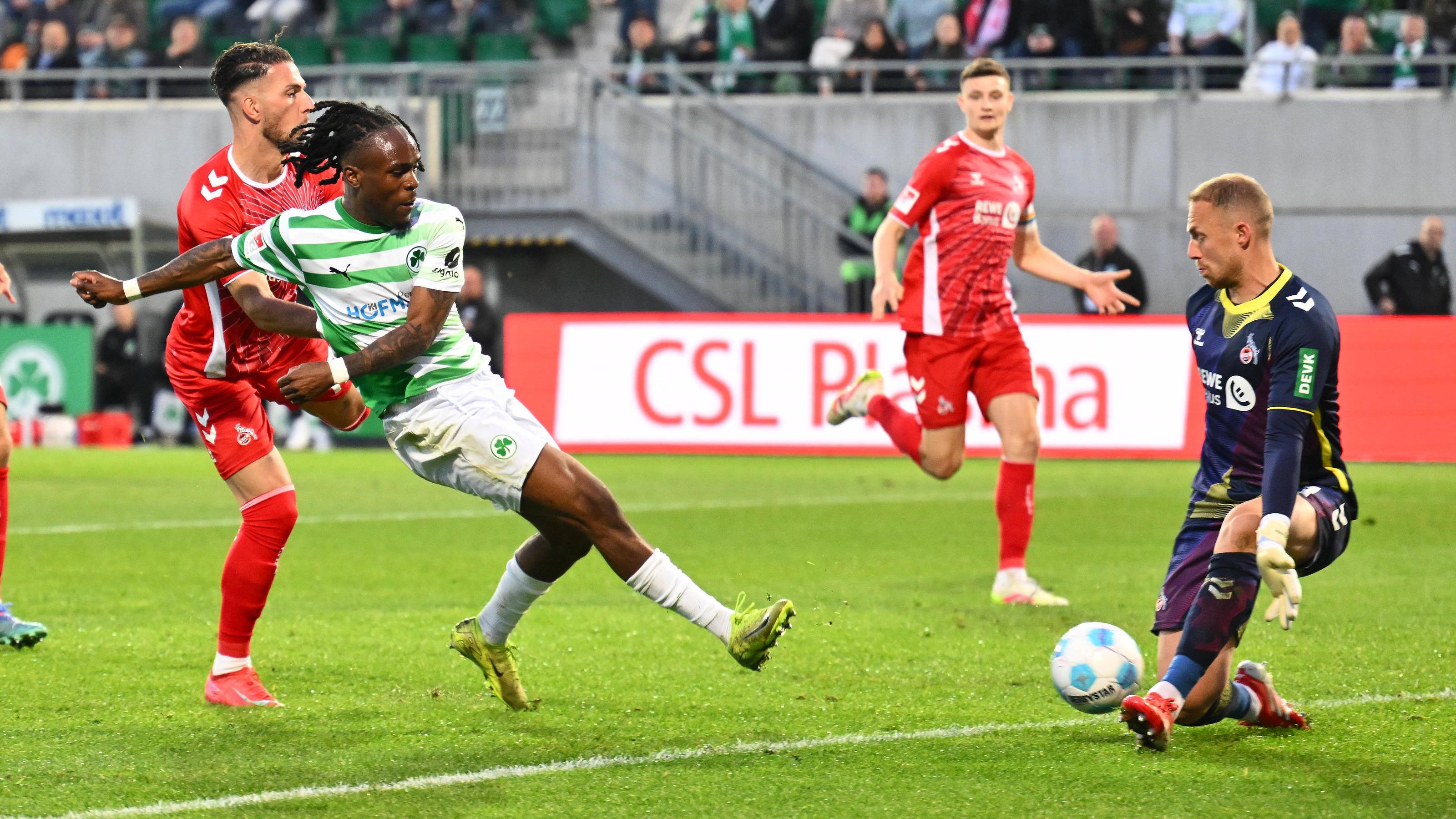 20250411 Schwäbe.jpg