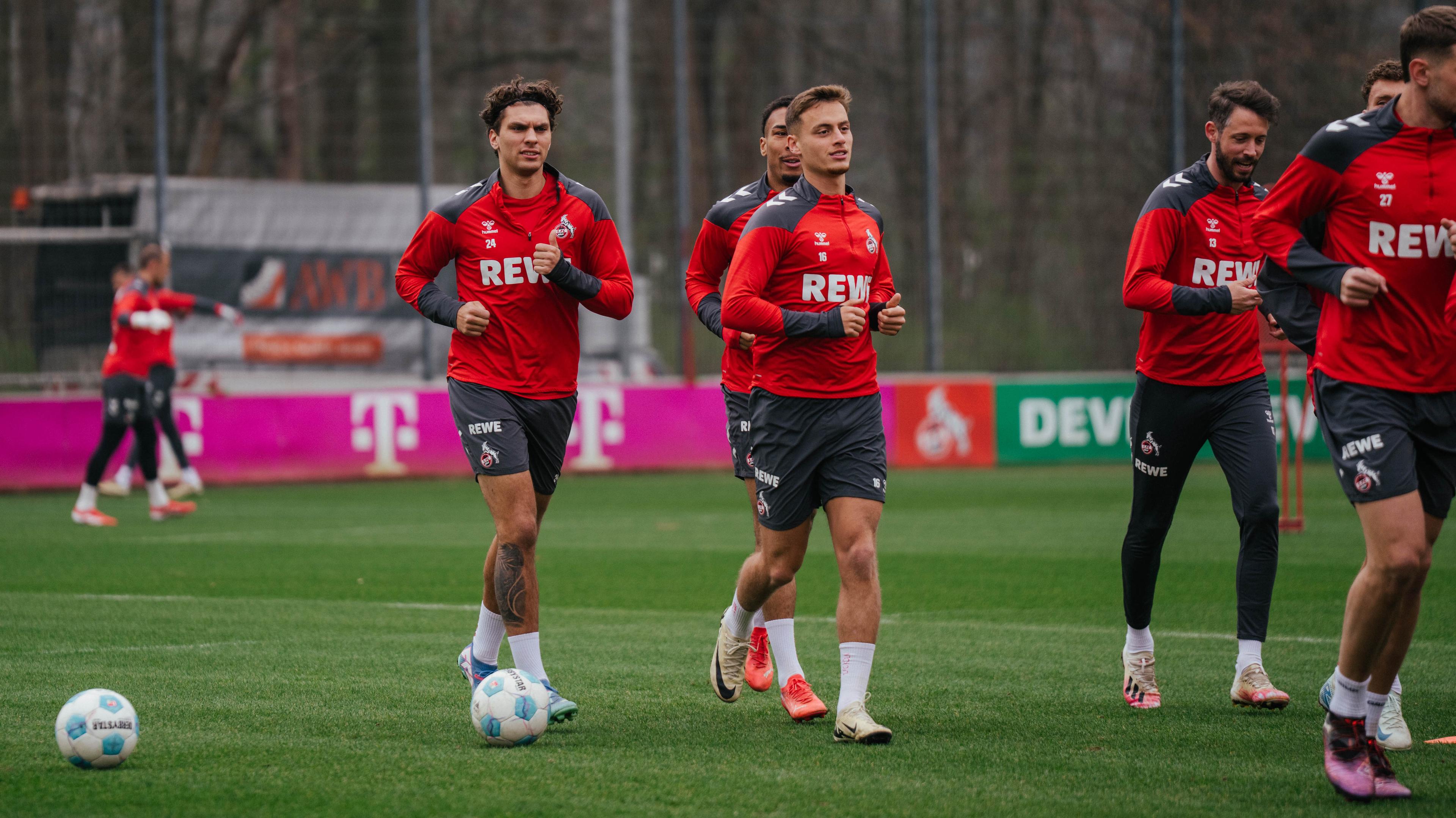 Pauli_training.jpg
