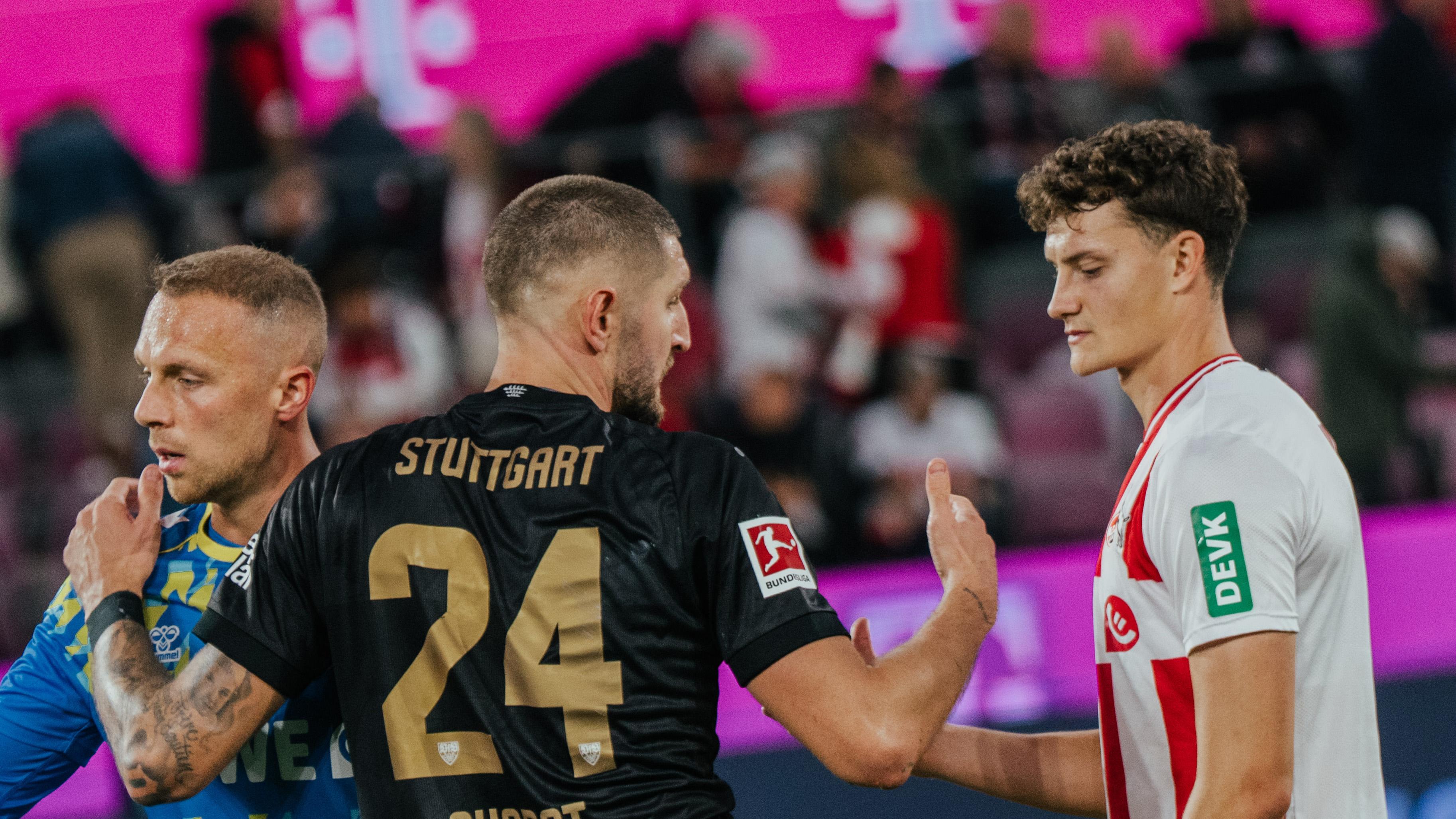 Martel_VfB_Anriss_Web.jpg