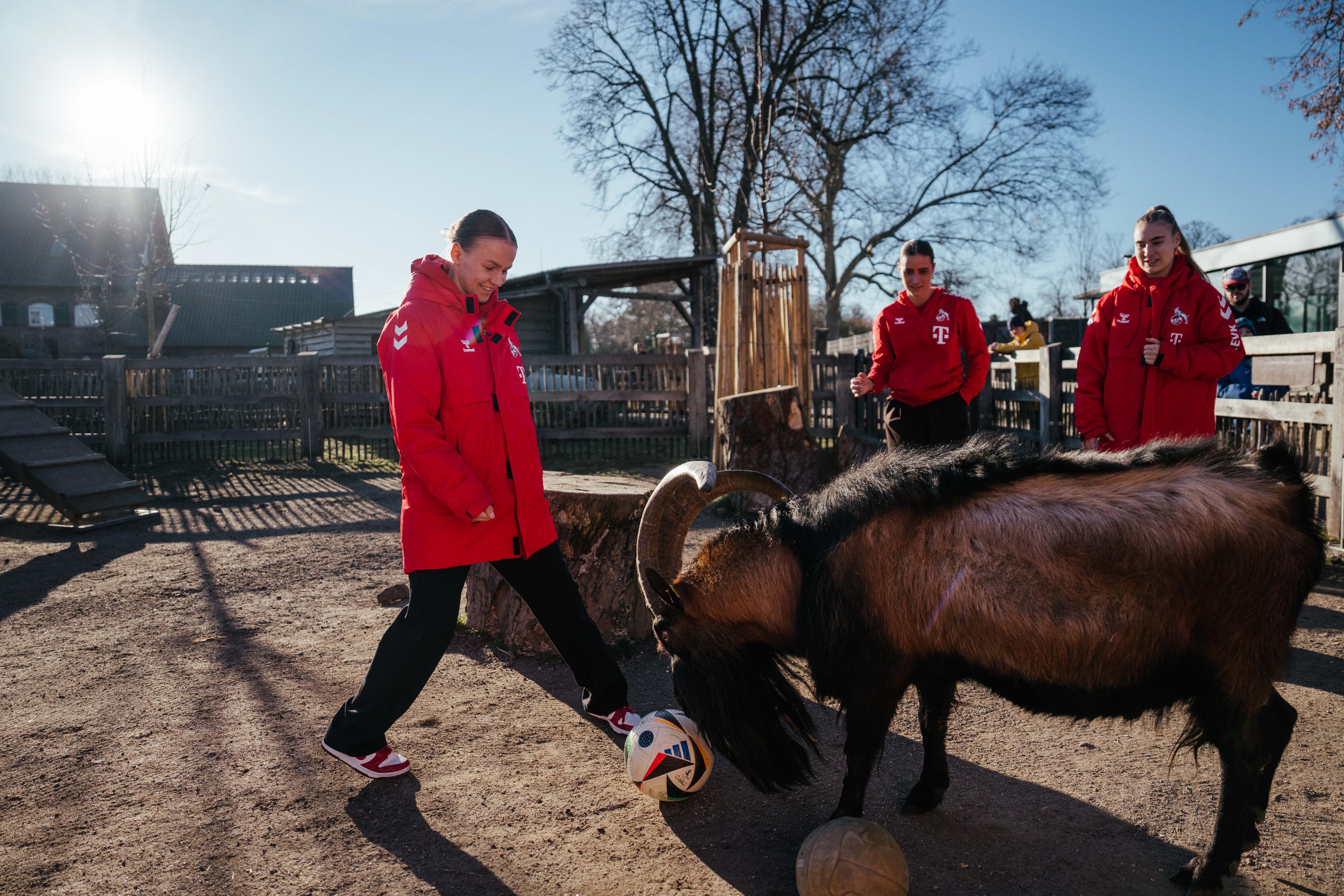 _250304_fc-frauen-im-zoo-113.jpg