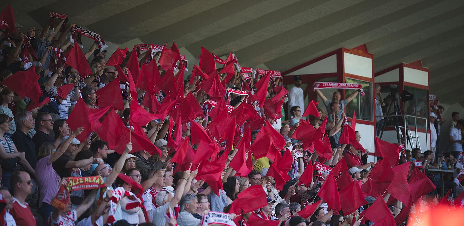 230914_HP_Fans_3906075.jpg