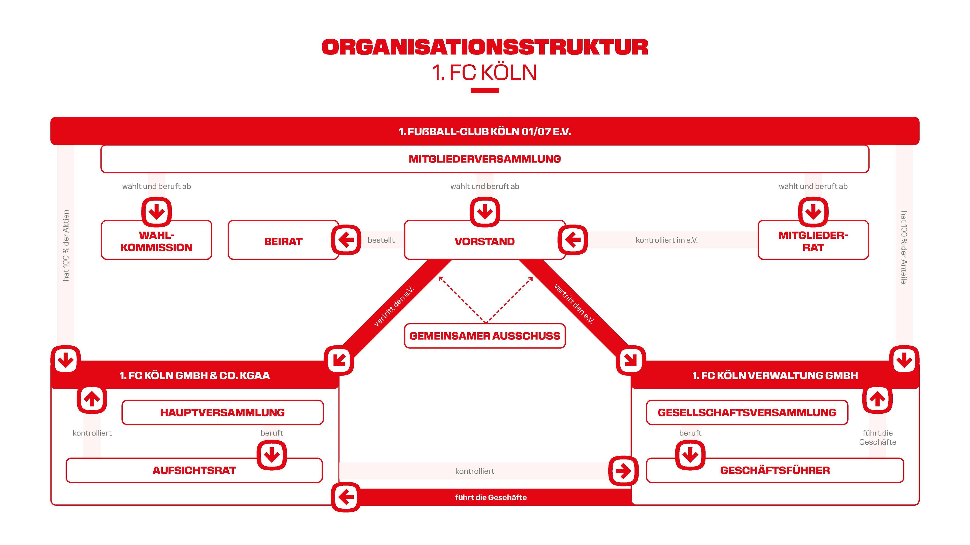 Organisationsstruktur