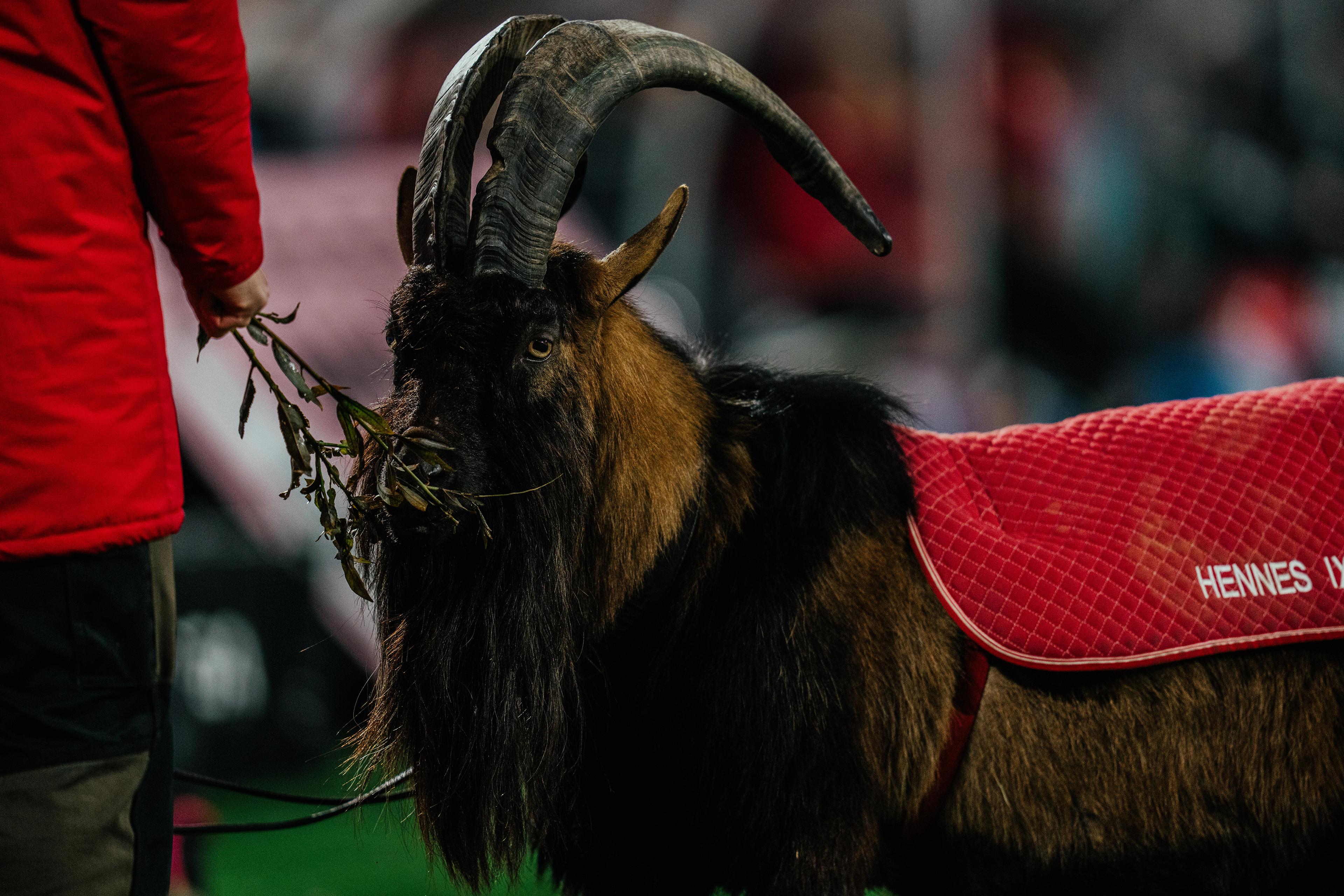 Hennes_HP_251220_md15_koefcu-145.jpg