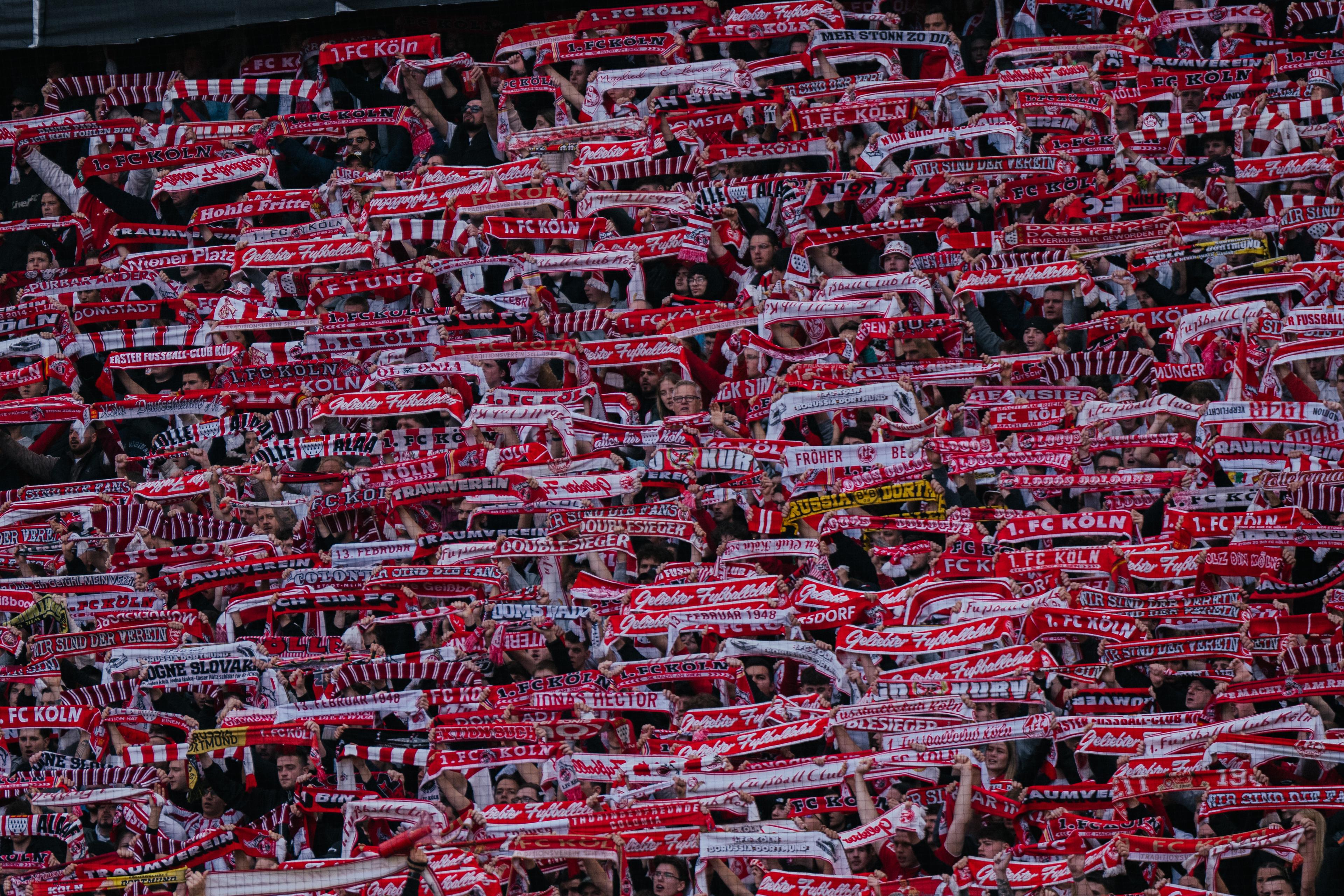 2__bundesliga_2024-2025_-_md23_-_1__fc_koln_vs_fortuna_dusseldorf_250223_koef95-92.jpg