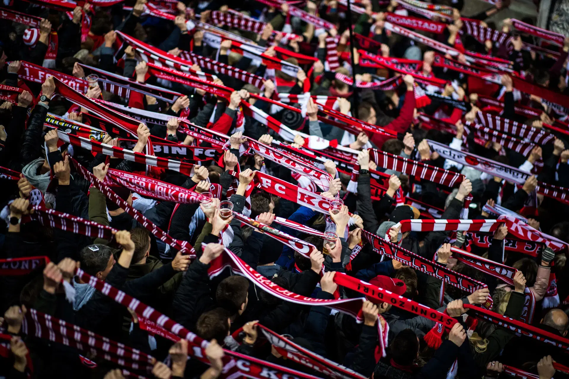 Stadion Fans_Spielplan_2024.jpg