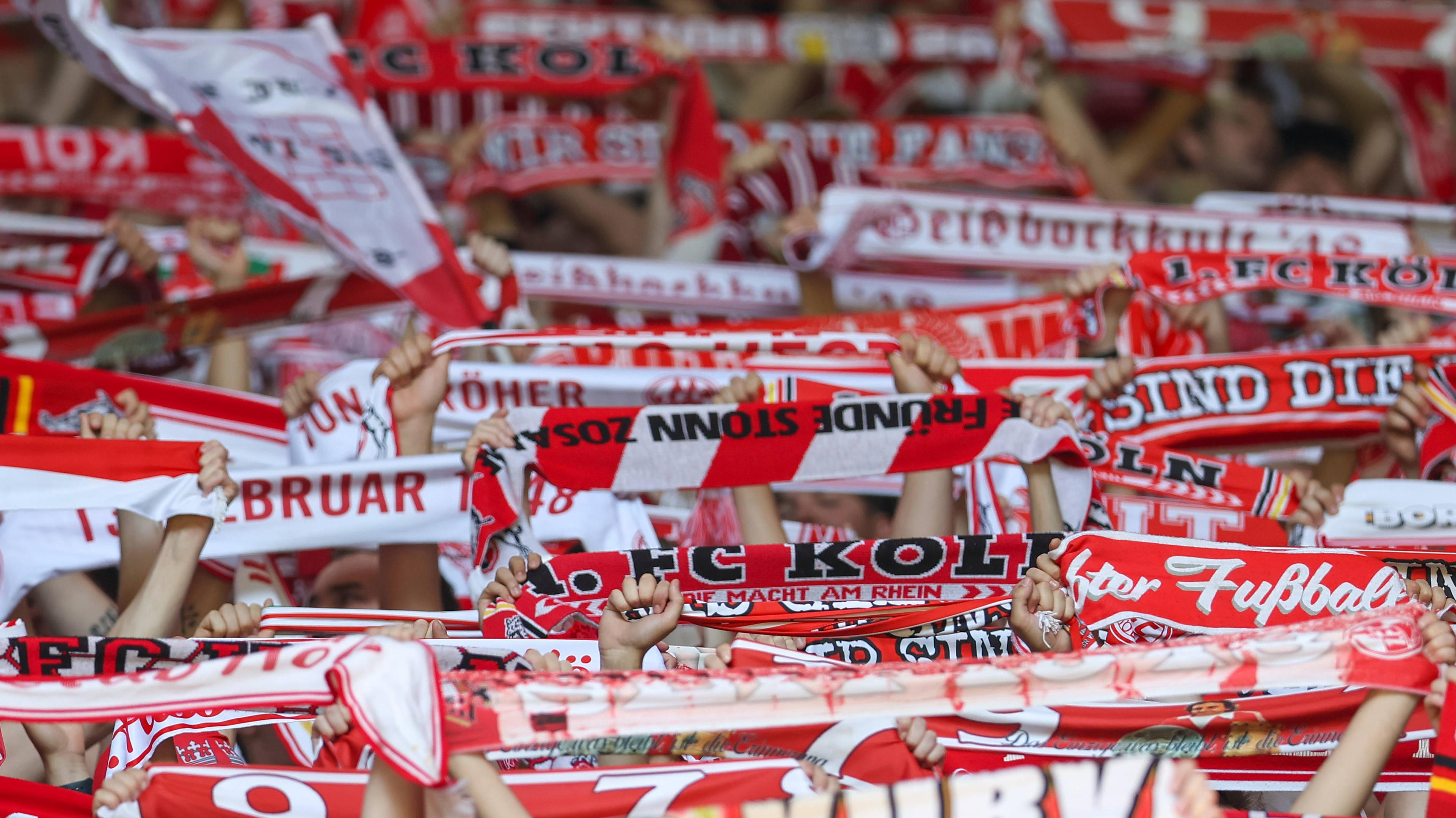 imago1050807605 Kopie.jpg