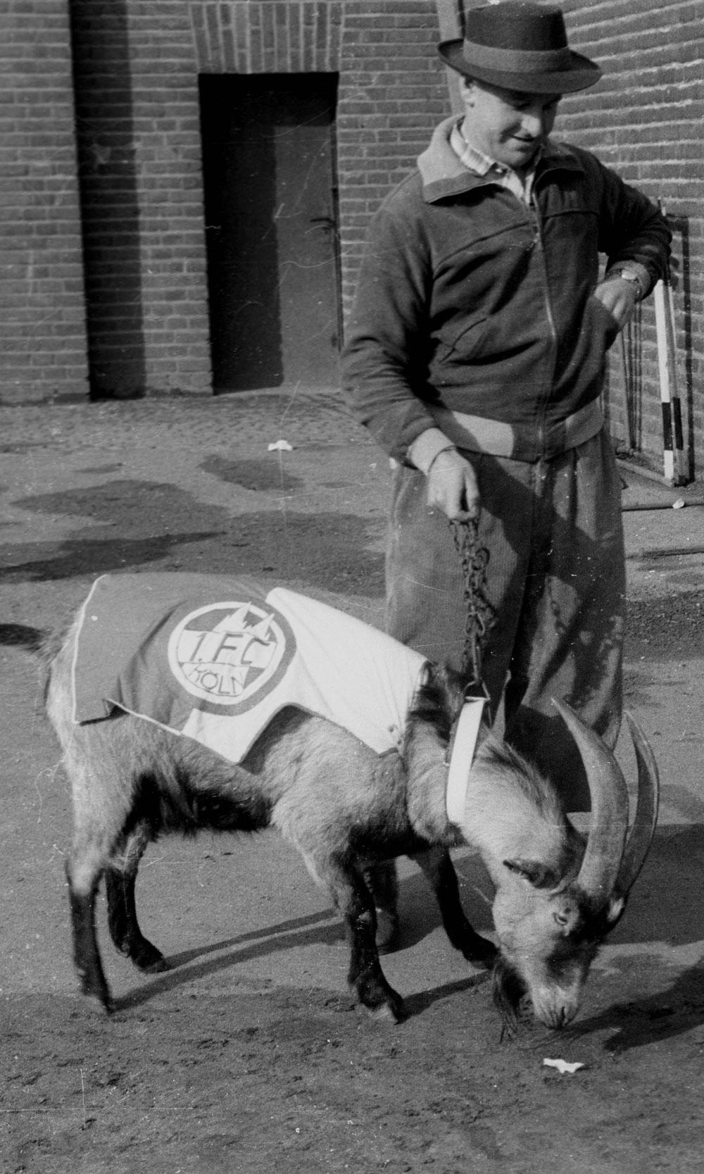 Hennes1-Besser.jpg