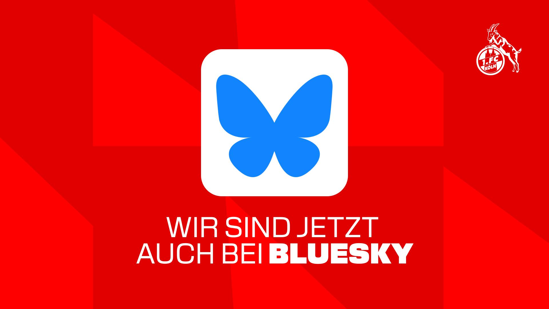 Bluesky_opt1_1920x1080.jpg