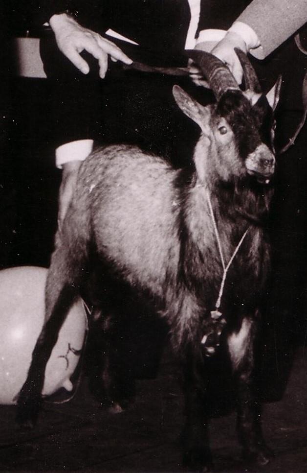 Hennes_I_Porträt.jpg