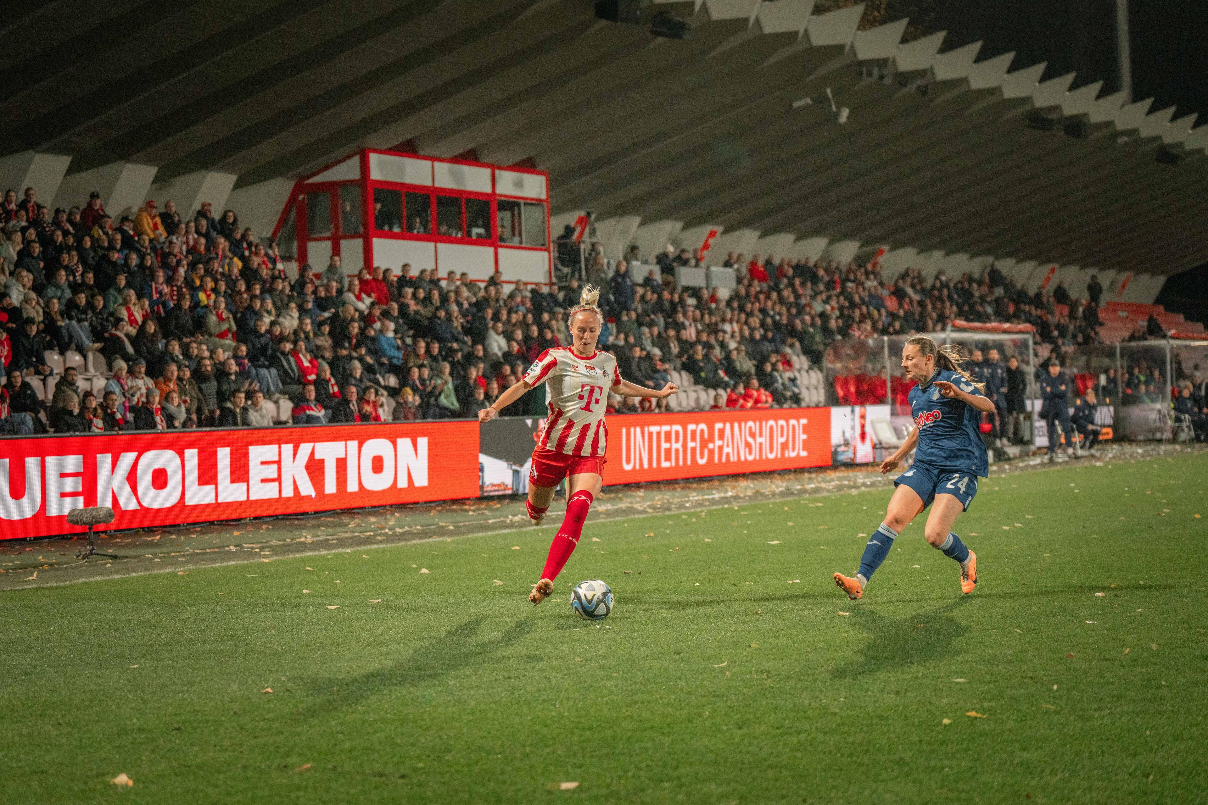 frauen_bundesliga_2023-2024_-_d7_-_fc_koln_w_vs_1899_hoffenheim_w_231113_koetsg_fbl-366_jpg_0.jpg
